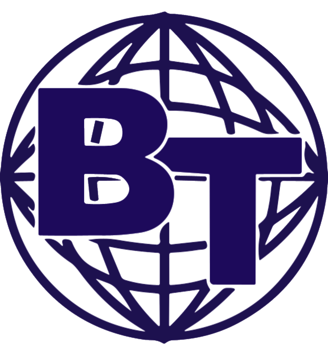 BT Consulting Venezuela, C.A.